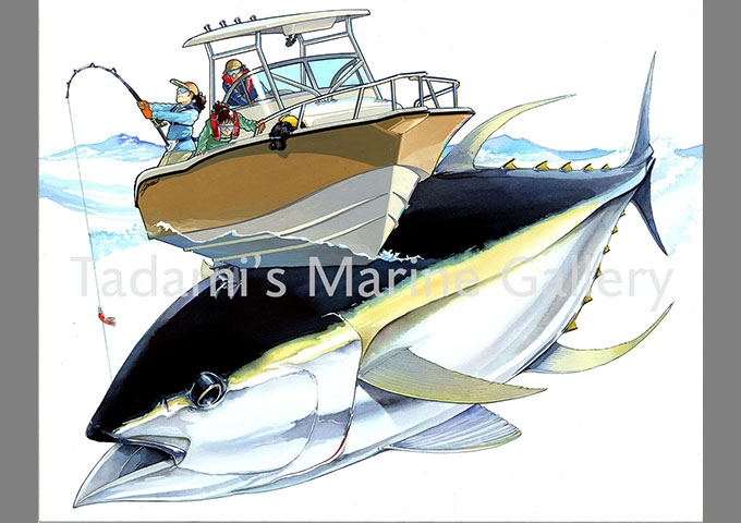 73795_vs_yellowfin_t2