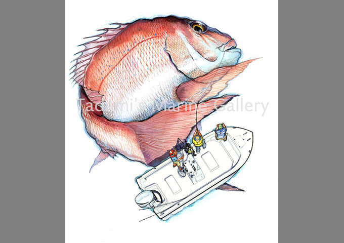 VS.Red Sea Bream