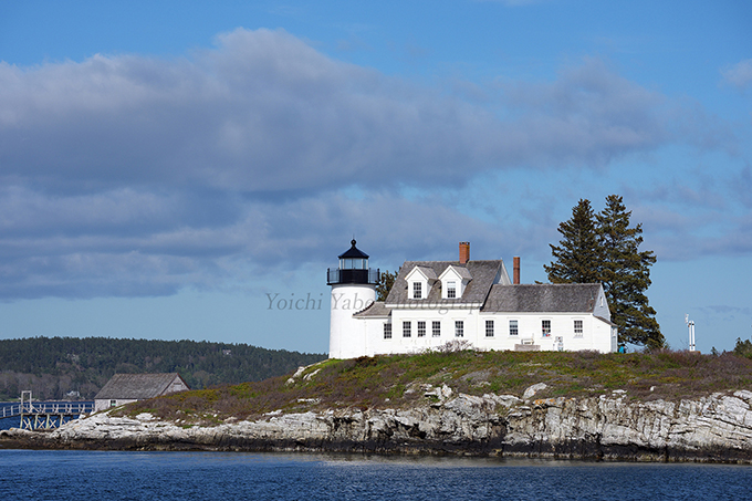 矢部洋一写真Pumpkin Island