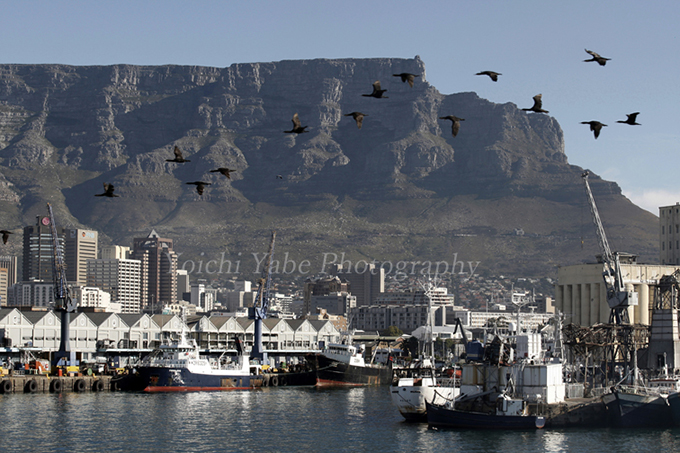 矢部洋一Cape Town, South Africa
